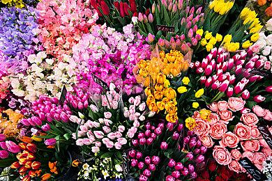 网易1.5折甩卖暴雪“分手遗产” 有人狂抢4箱转手卖